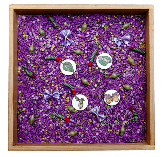 Whimsical Wings: Butterfly Sensory Bin Filler