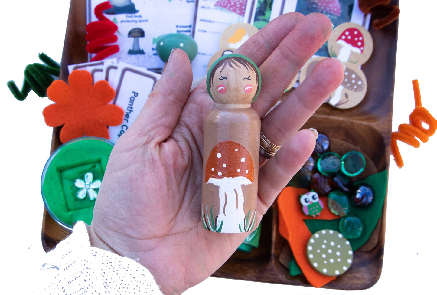 Montessori Toys: Mushroom Life Cycle