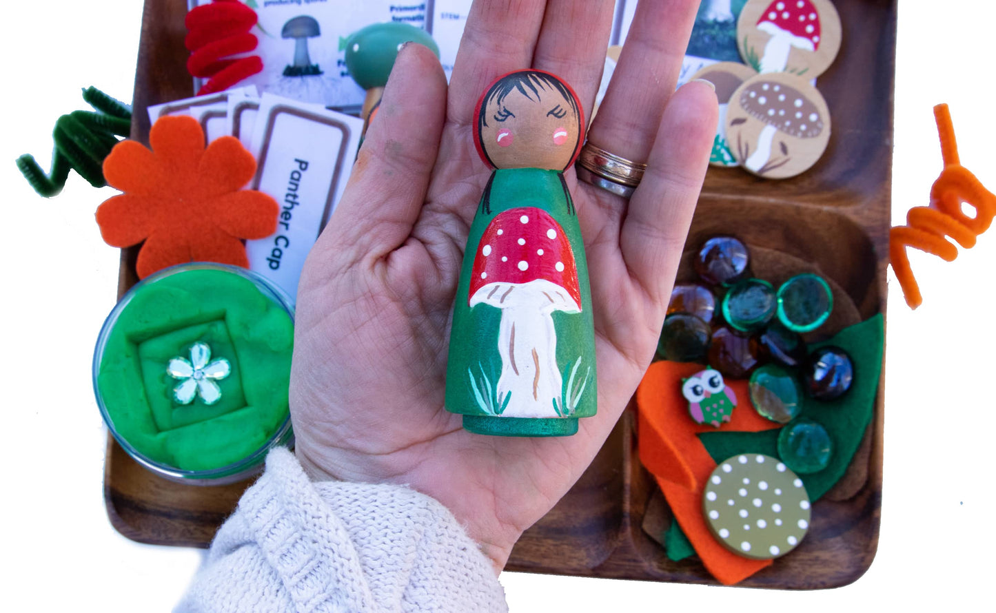 Montessori Toys: Mushroom Life Cycle